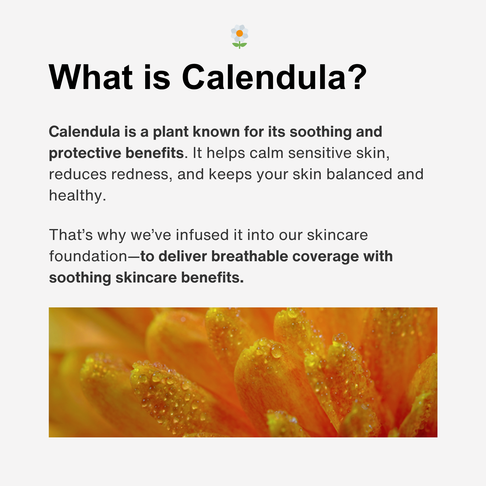 GLAIRIS Calendula Skin Soothing Oil Control Foundation